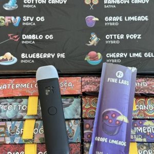 FINE LABS 1G DISPOSABLE