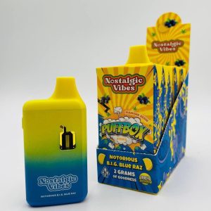 NOSTALGIC VIBES 2G DISPOSABLE