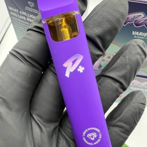 POTENT 1G DISPOSABLE