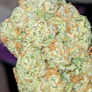 KIND TREE WEED STRAIN