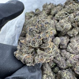 BLUE PLATINUM STRAIN