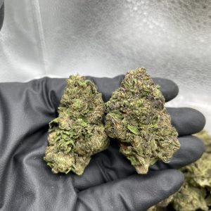 BISCOTTI CAKE STRAIN