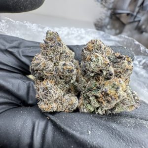 MIDNIGHT RUNTZ STRAIN