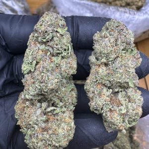 COOKIES N CREAM STRAIN