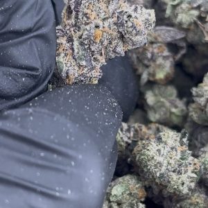 APPLE FRITTER STRAIN