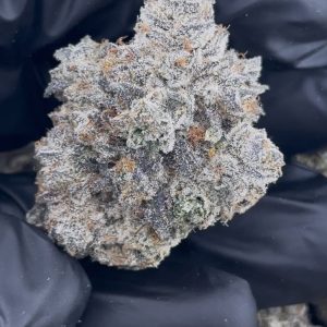 DANTE’S INFERNO STRAIN