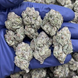 HAWAIIAN RUNTZ STRAIN