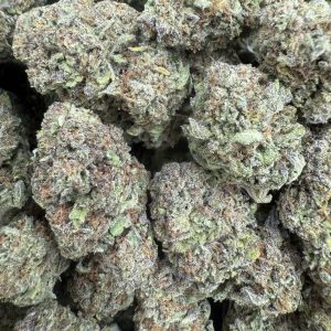 STRAWBERRY GELATO STRAIN